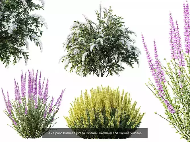 AV 17 sets of unique and high-quality bushes 3D Model Pack 5