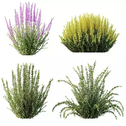 AV 17 sets of unique and high-quality bushes 3D Model Pack 3