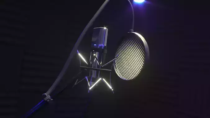 Hip Hop Studio Microphone