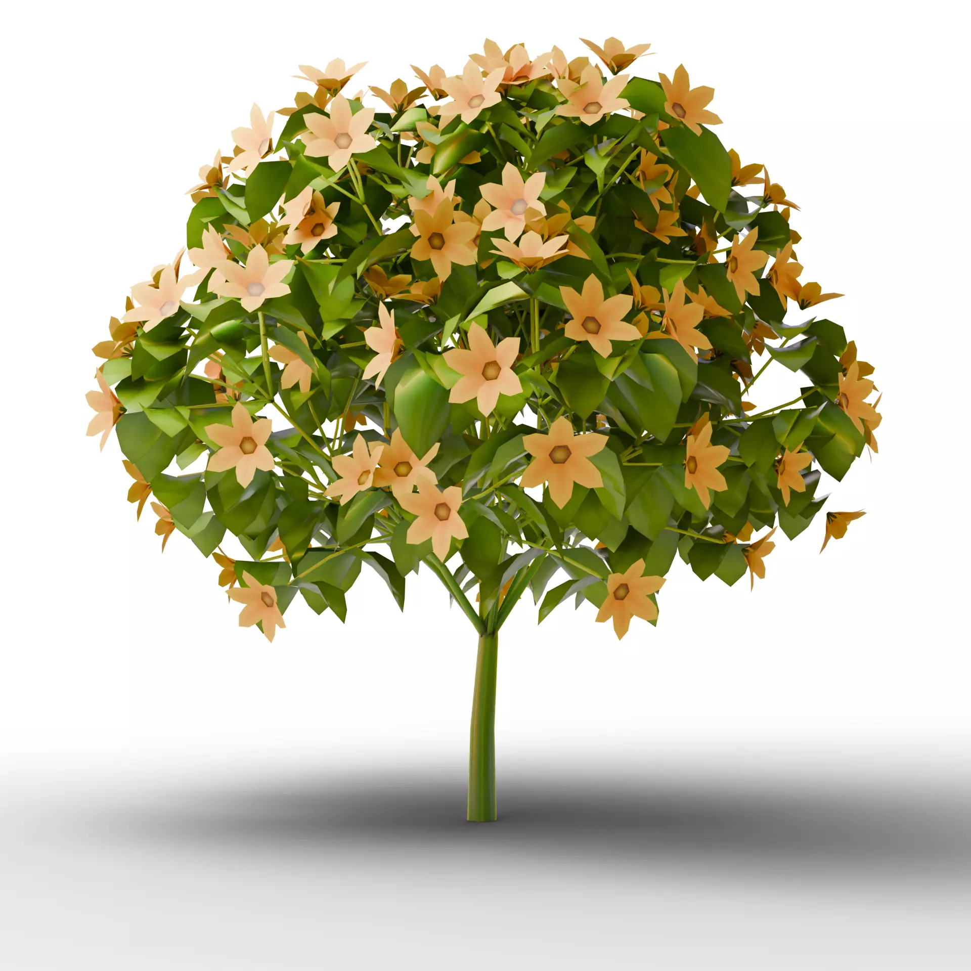 Mega 3D Flower Collection v1 Low-poly 3D model_7