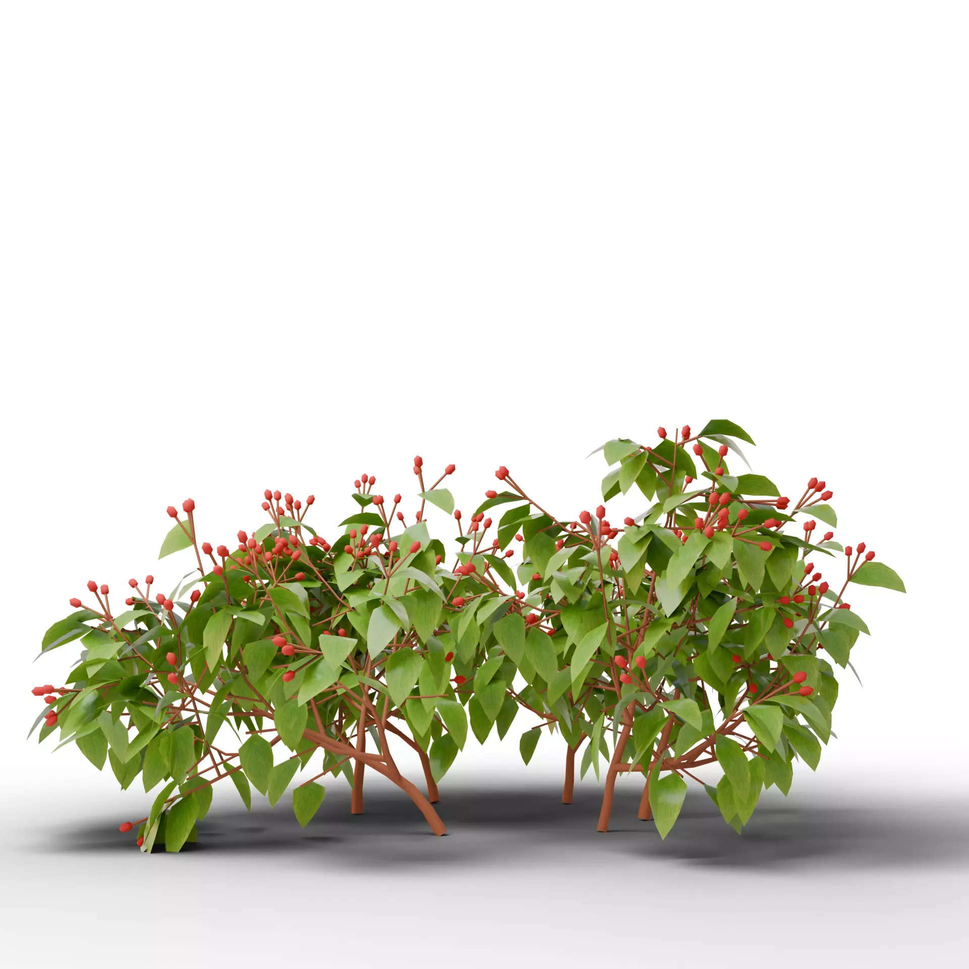 Mega 3D Flower Collection v1 Low-poly 3D model_2