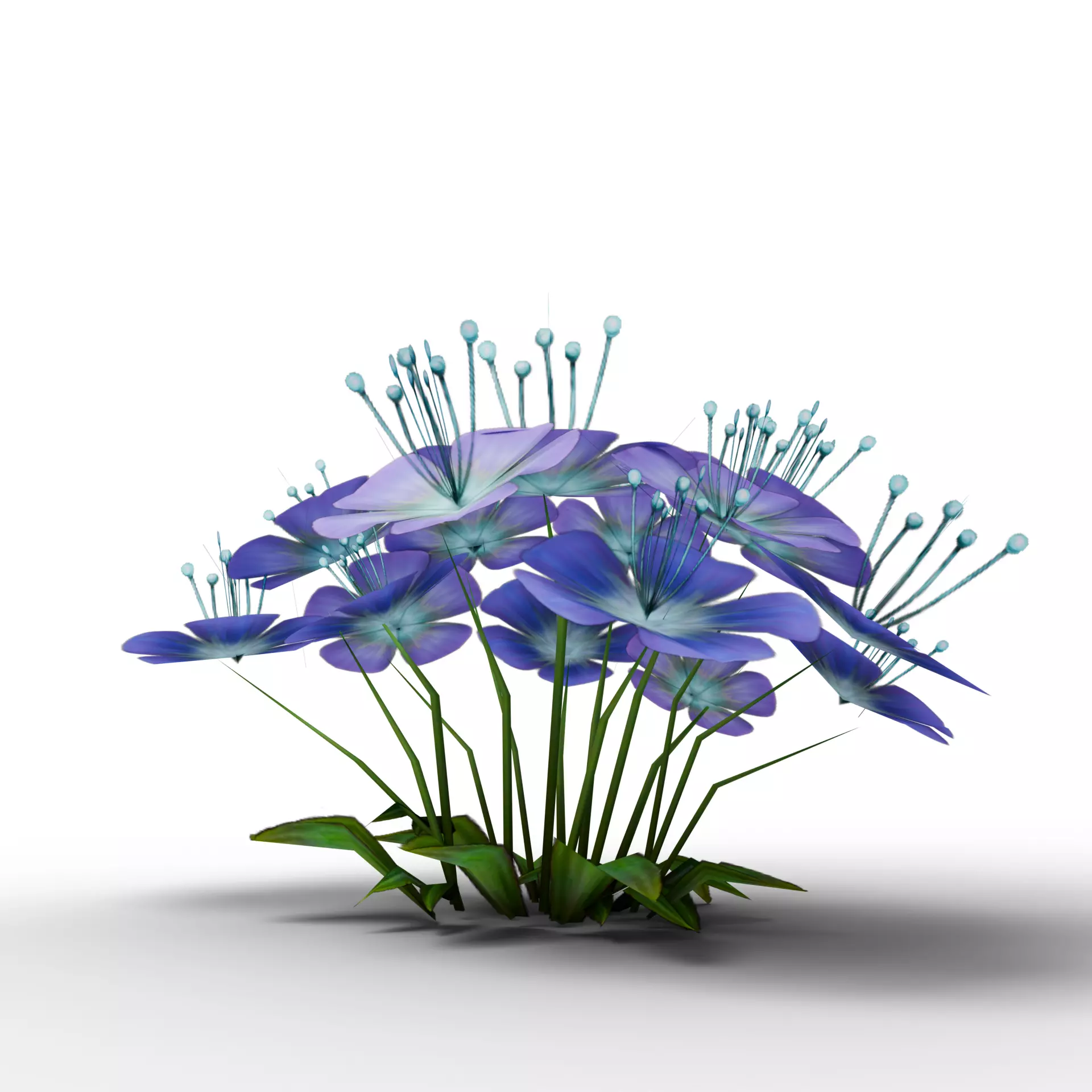 Mega 3D Flower Collection v1 Low-poly 3D model_9