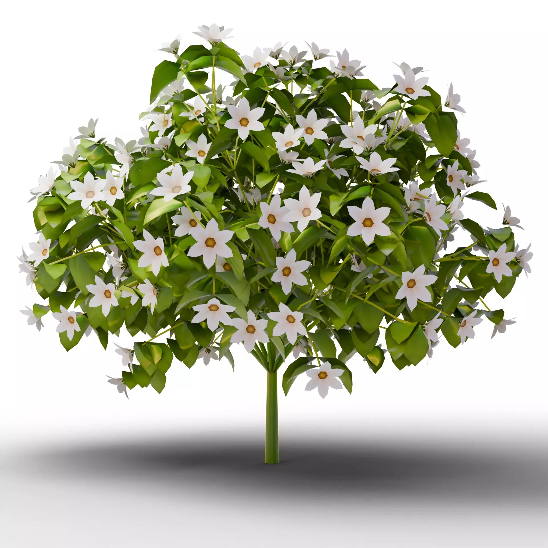 Mega 3D Flower Collection v1 Low-poly 3D model_6