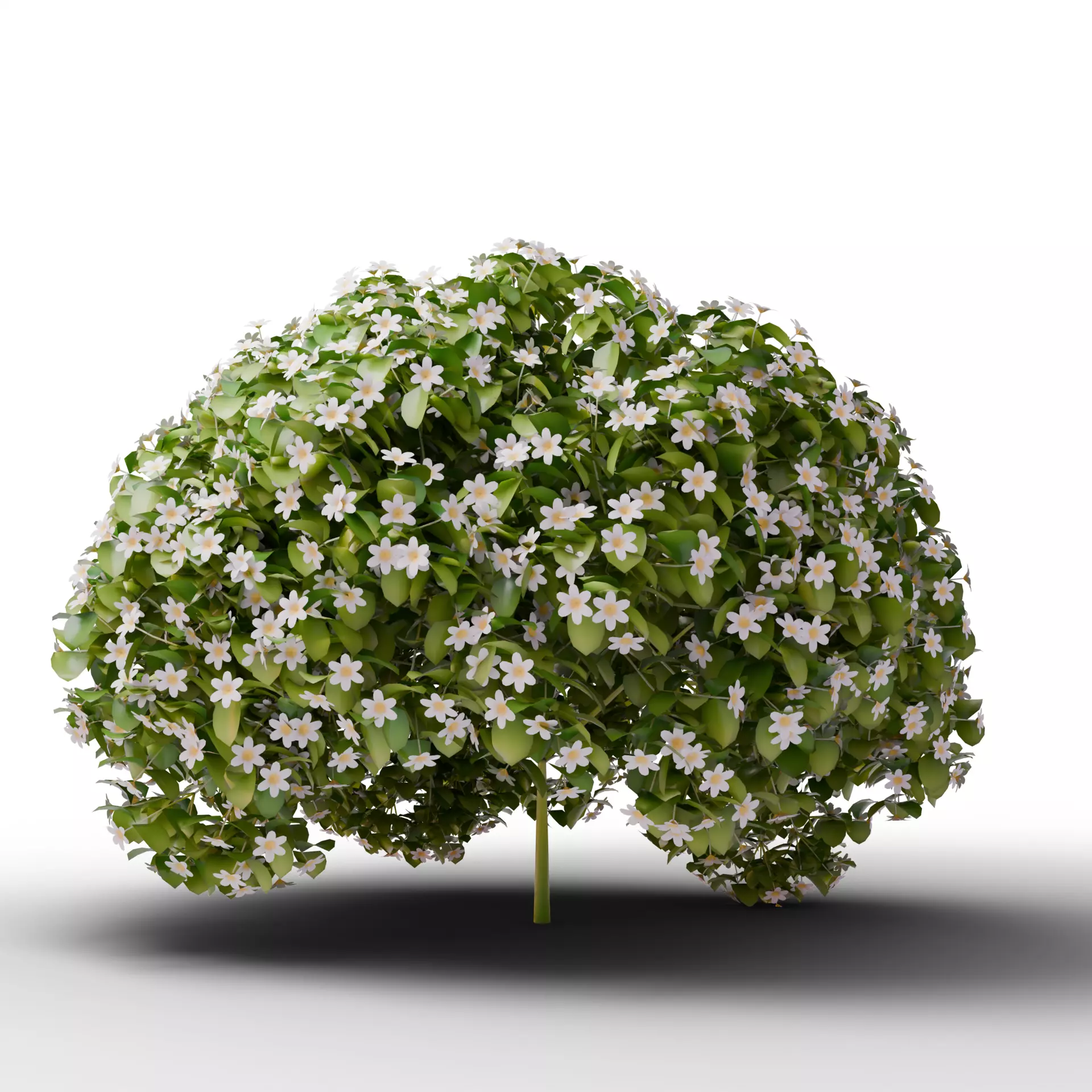 Mega 3D Flower Collection v1 Low-poly 3D model_1