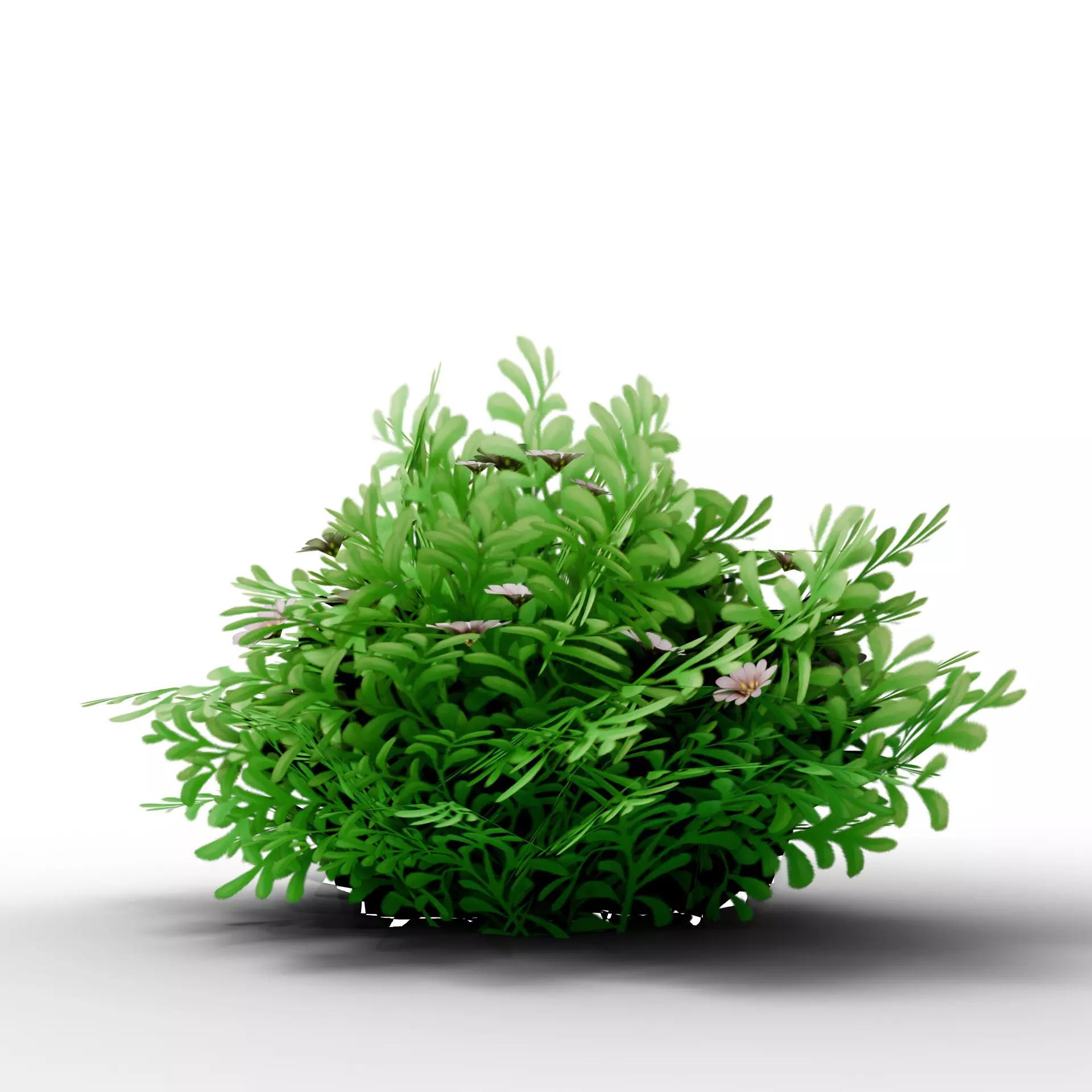 Mega 3D Flower Collection v1 Low-poly 3D model_10