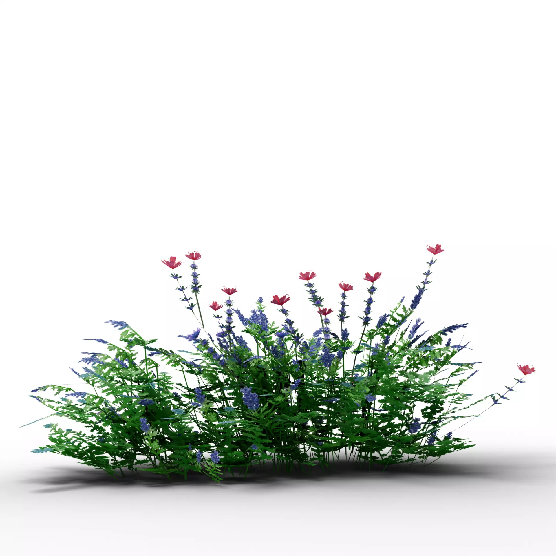 Mega 3D Flower Collection v1 Low-poly 3D model_8