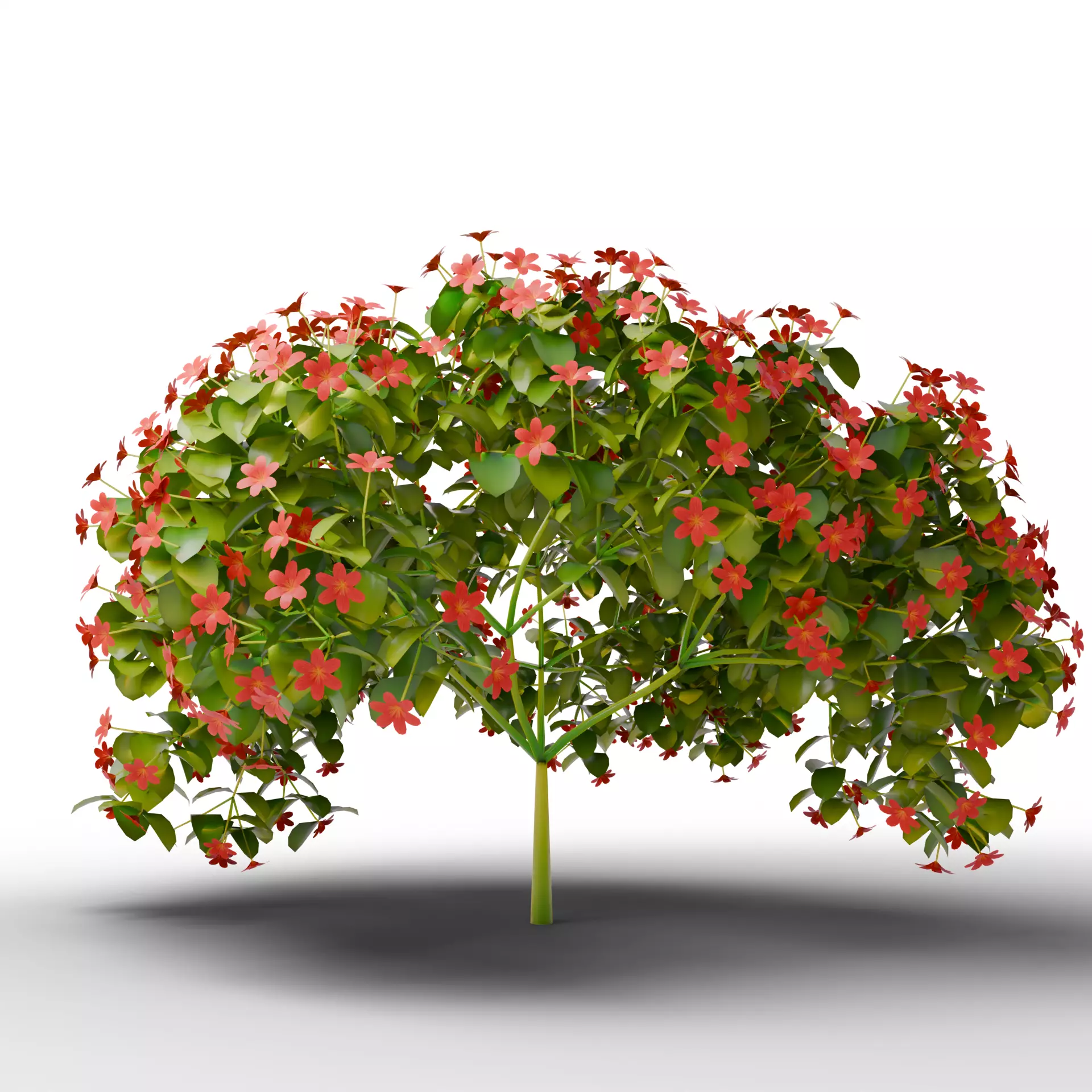 Mega 3D Flower Collection v1 Low-poly 3D model_4