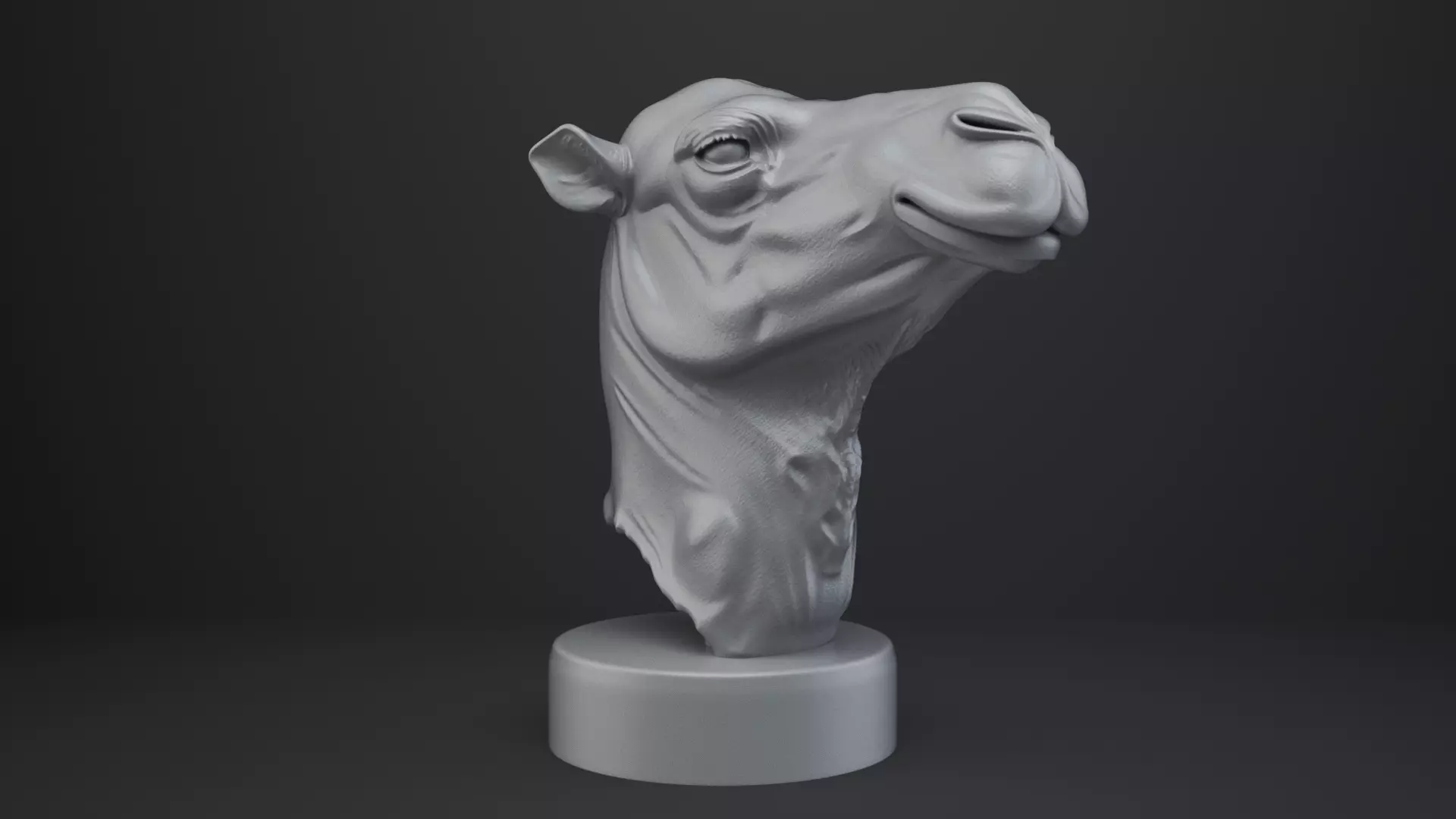 Camel Bust - Animal Figurine 3D print model_8