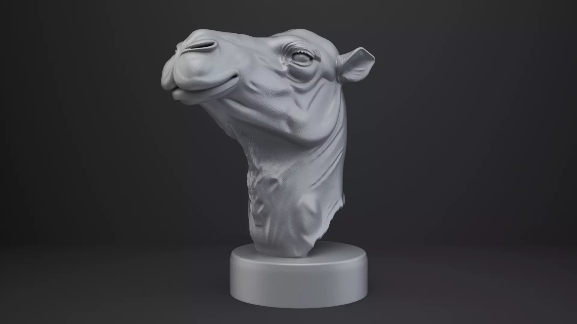 Camel Bust - Animal Figurine 3D print model_2