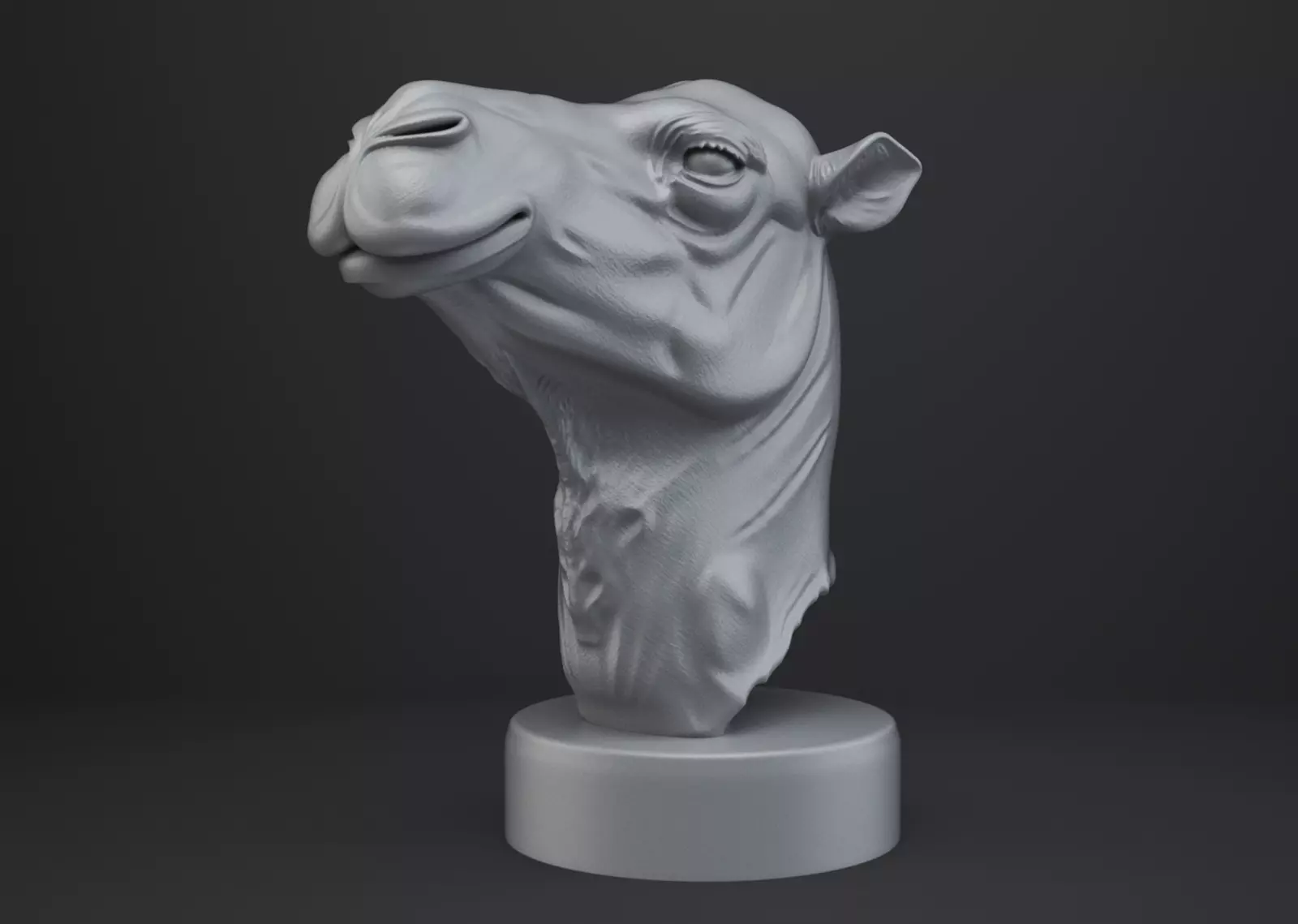 Camel Bust - Animal Figurine 3D print model_0