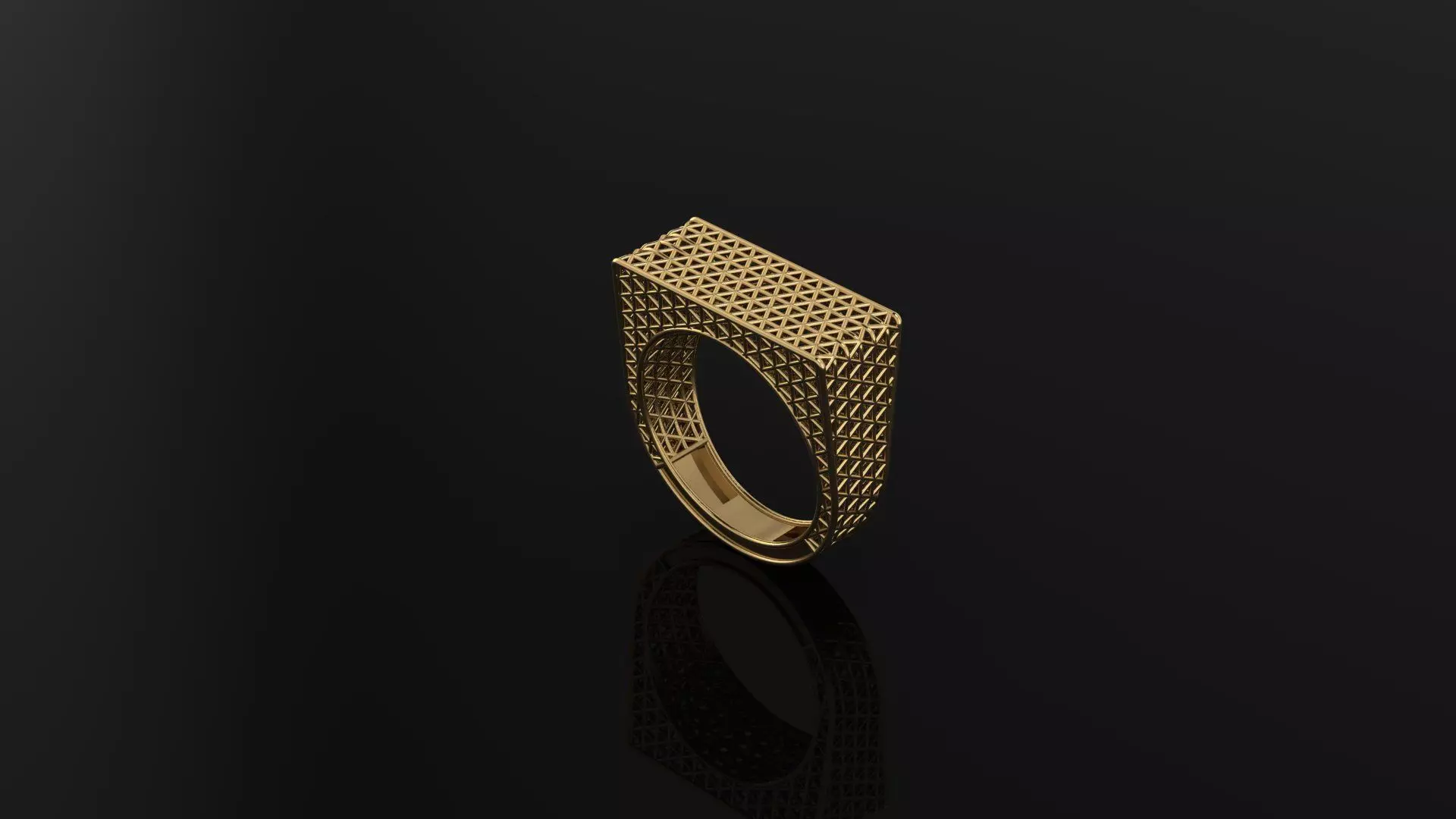 ring fusion 3D model_1
