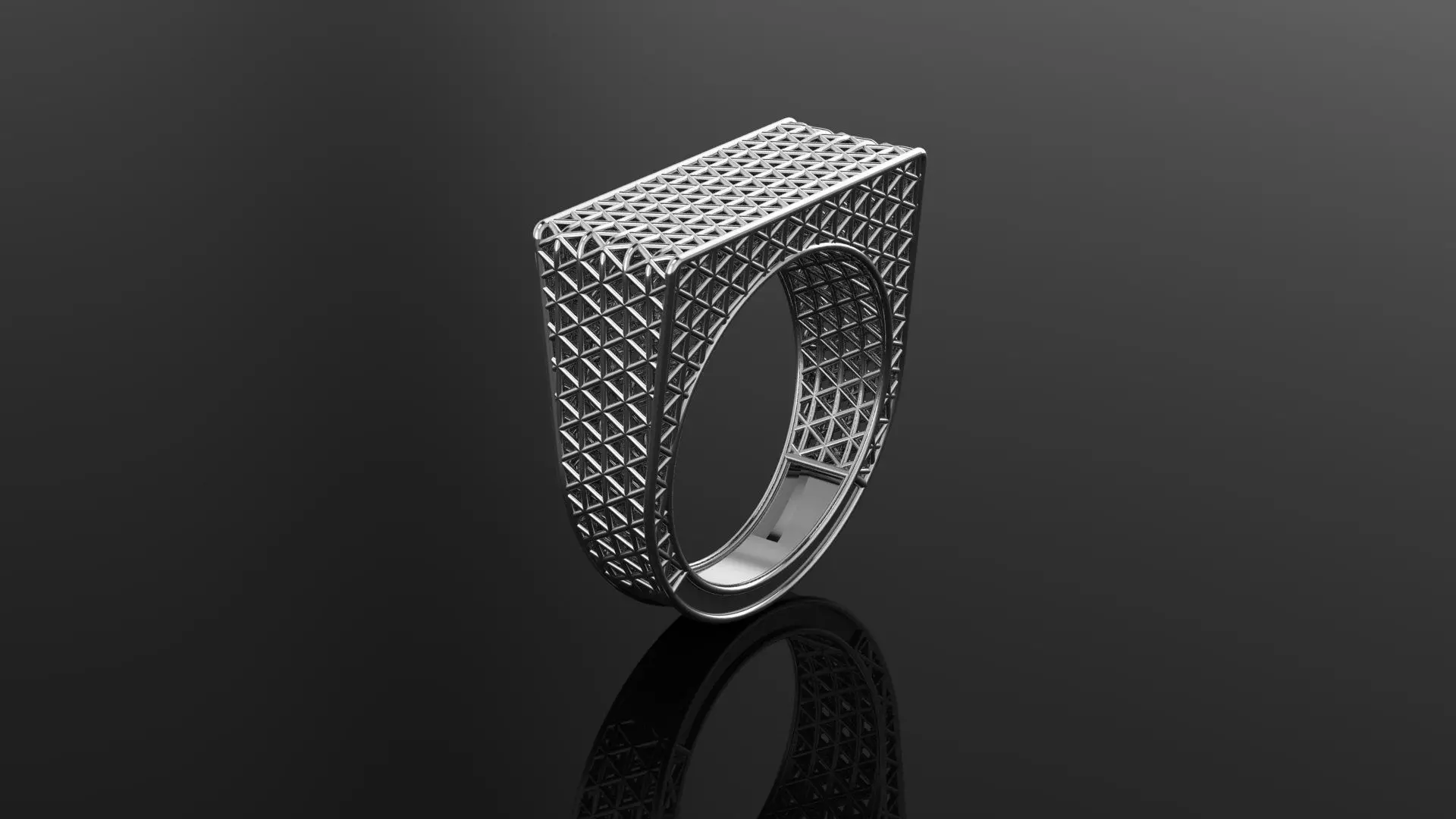 ring fusion 3D model_2