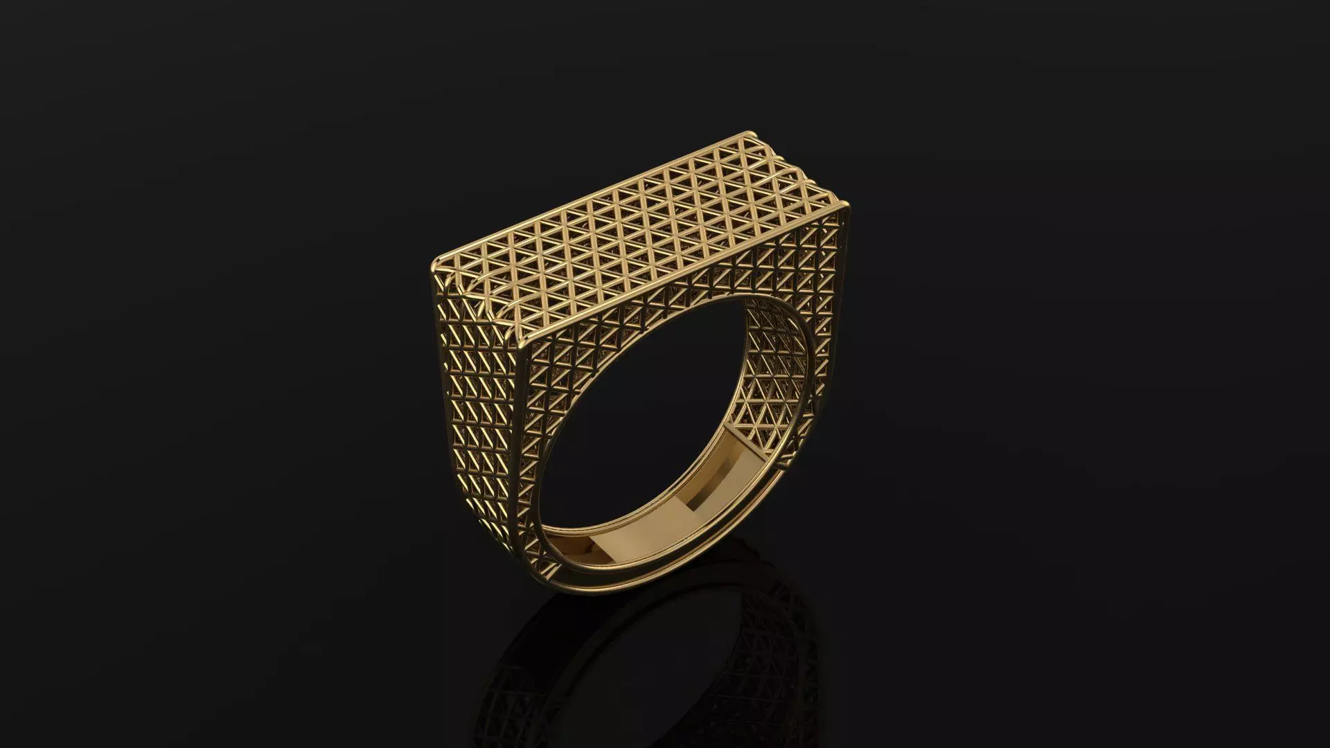 ring fusion 3D model_0