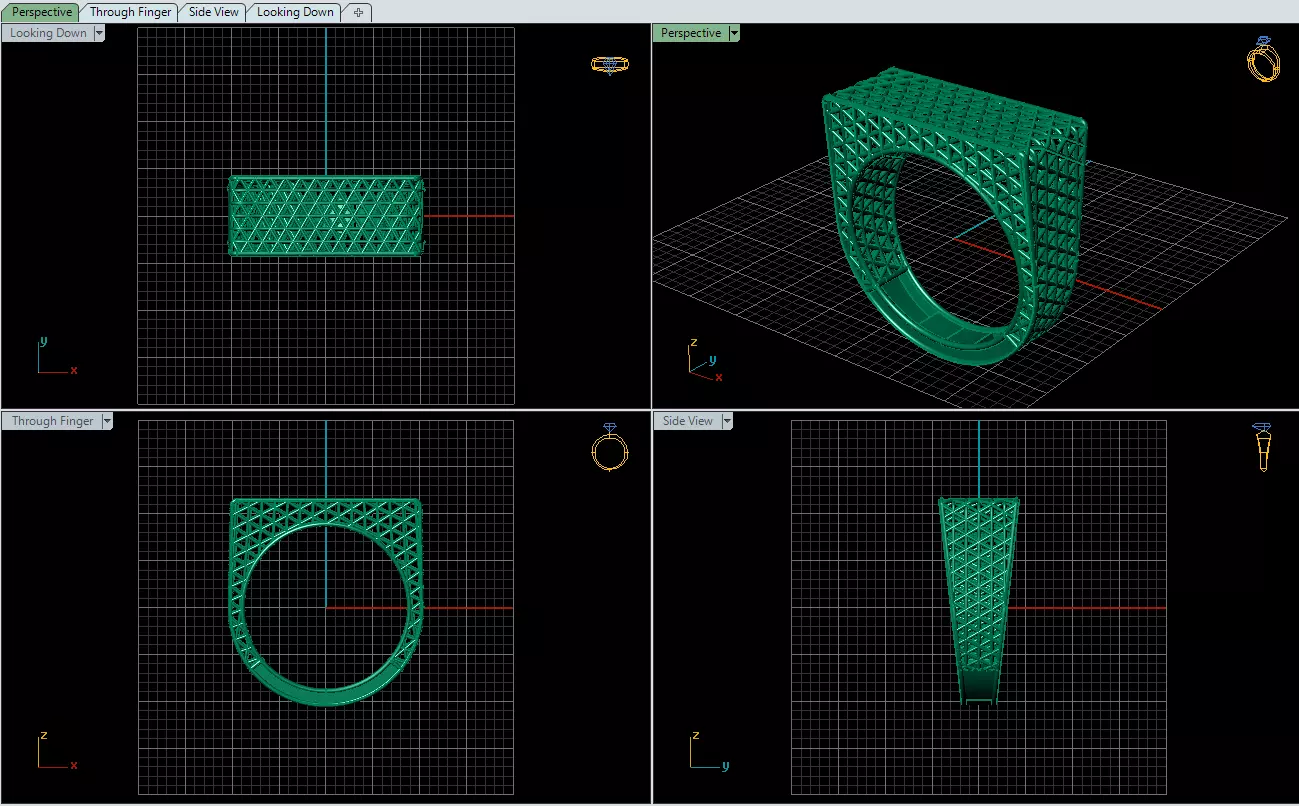 ring fusion 3D model_3