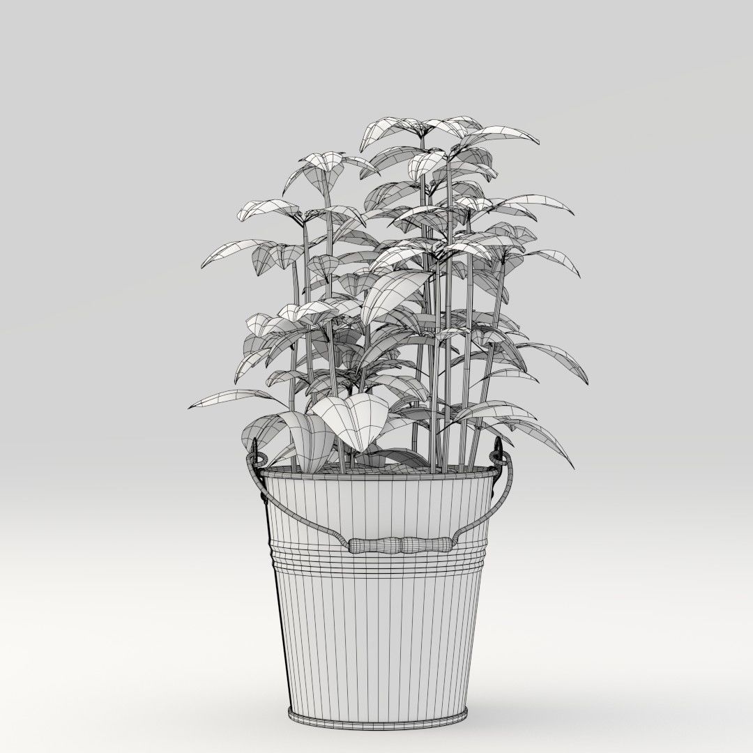 Basil pepper plant in bucket 3D model_4