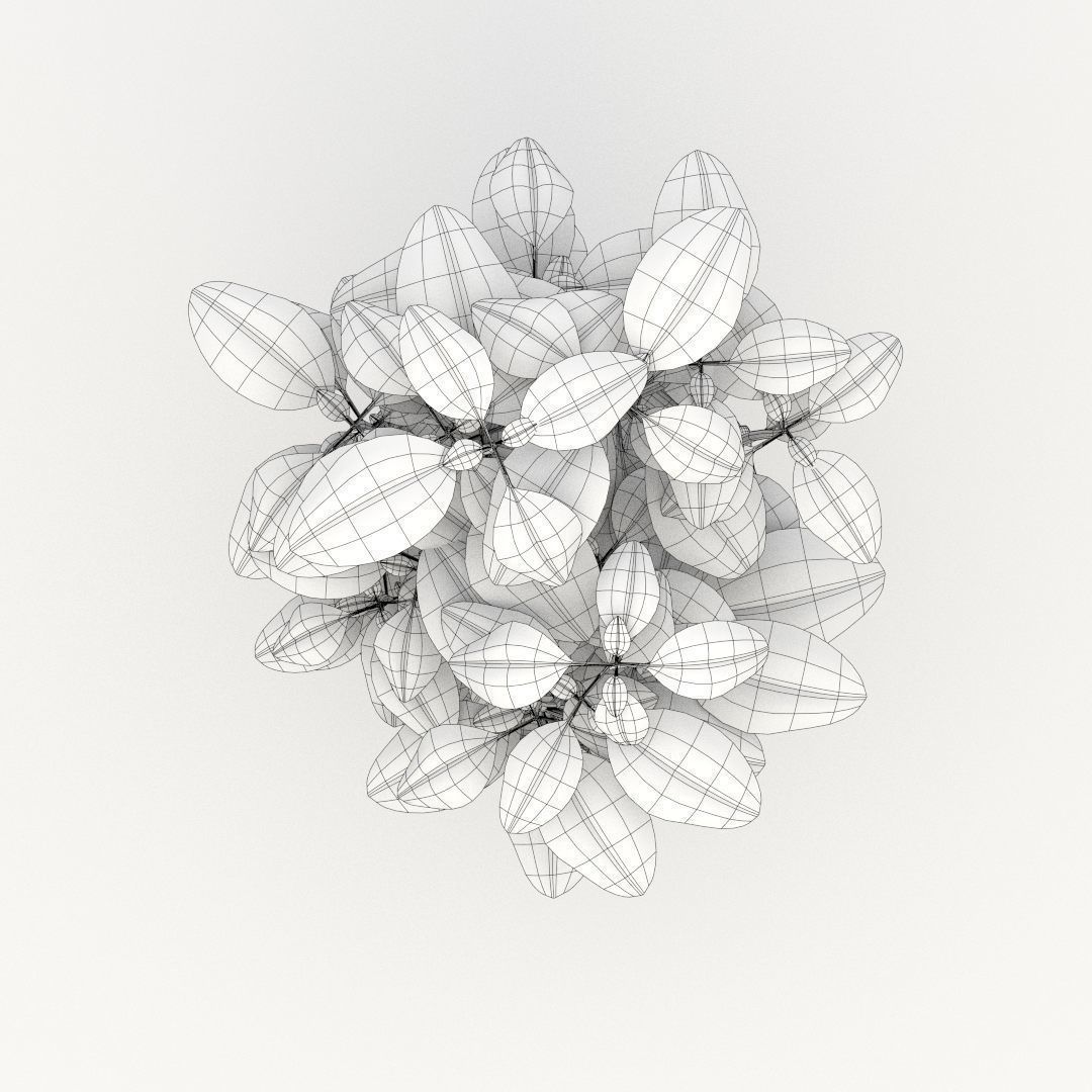 Basil pepper plant in bucket 3D model_2