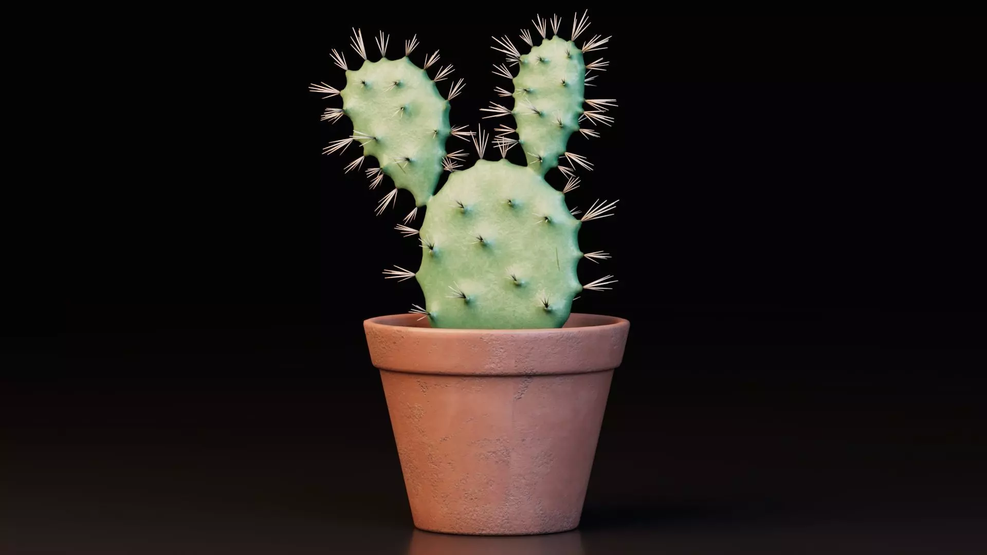 Potted Cactus Plants 3D model_3