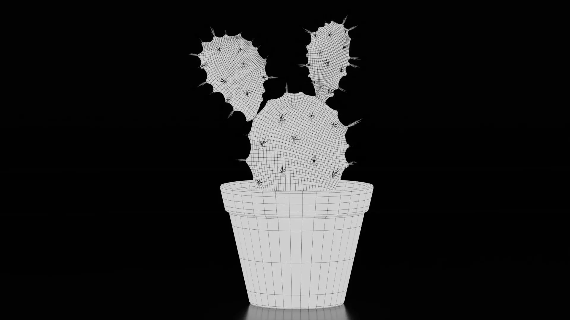 Potted Cactus Plants 3D model_9