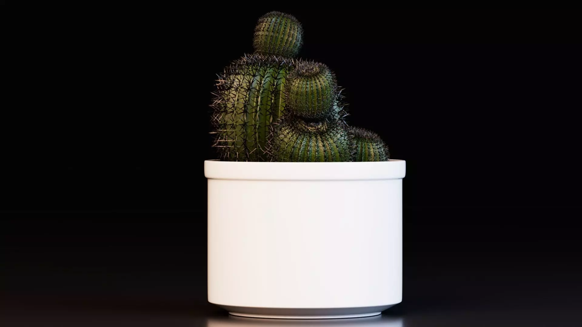 Potted Cactus Plants 3D model_4
