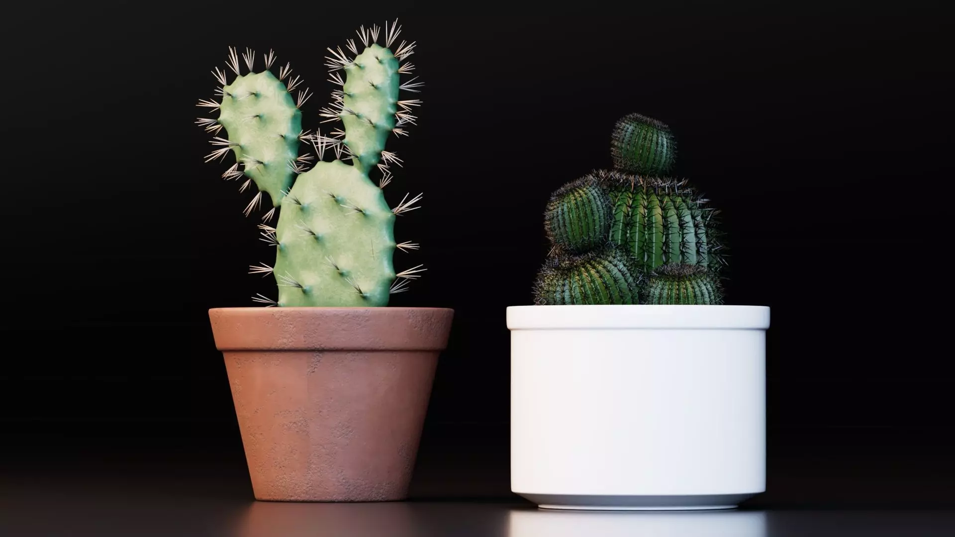 Potted Cactus Plants 3D model_0