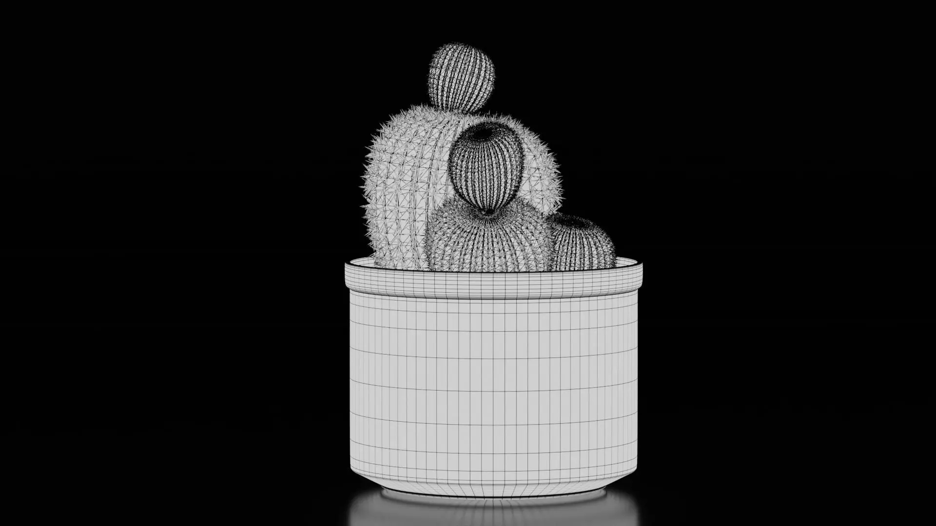 Potted Cactus Plants 3D model_10