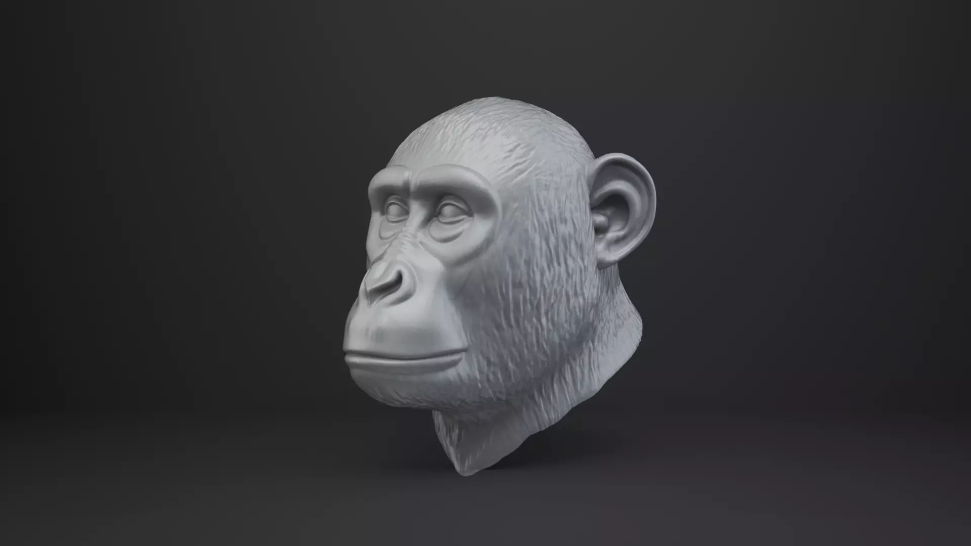 Monkey Bust - Animal Figurine 3D print model_2