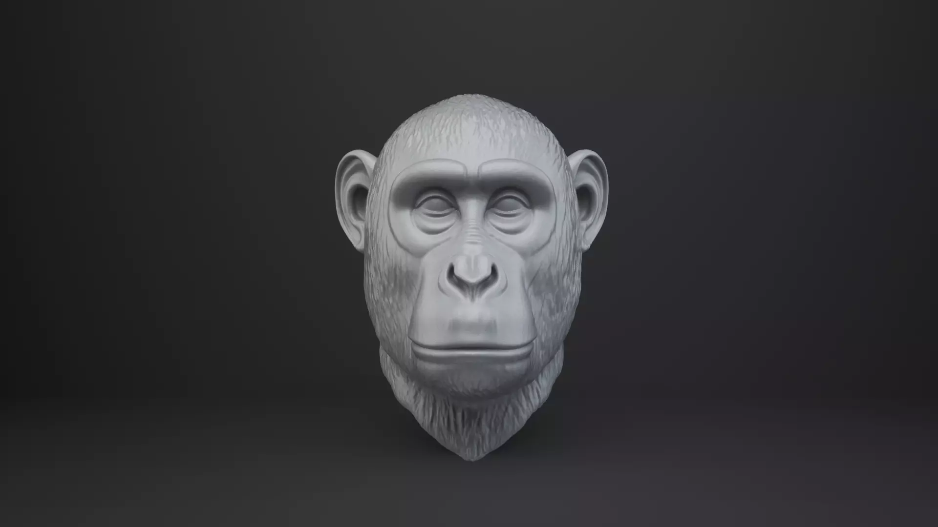 Monkey Bust - Animal Figurine 3D print model_1