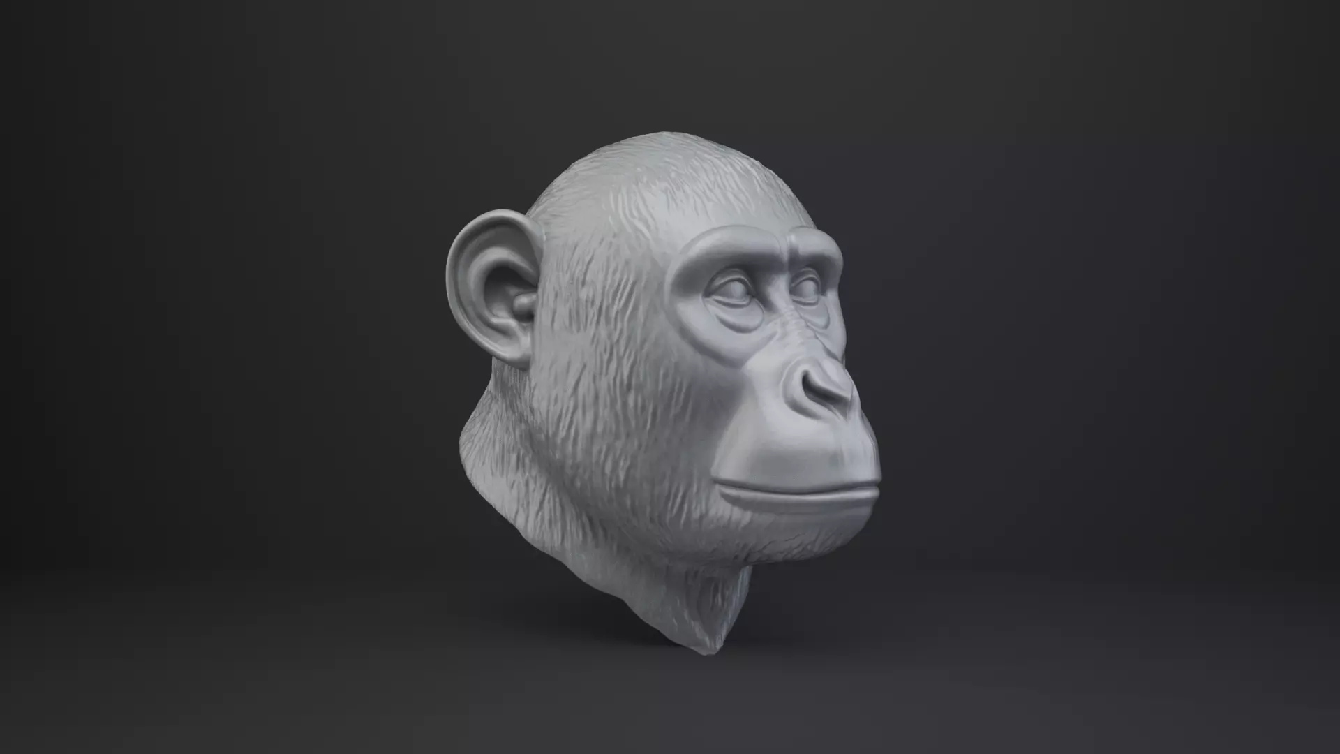 Monkey Bust - Animal Figurine 3D print model_8