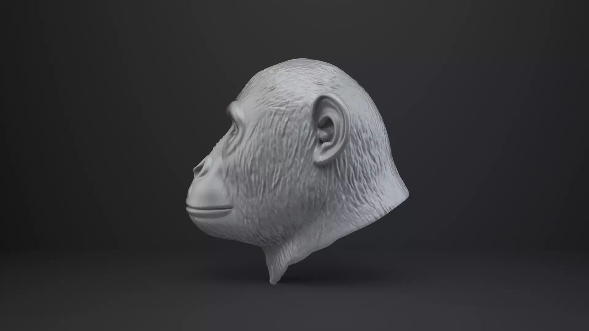 Monkey Bust - Animal Figurine 3D print model_3
