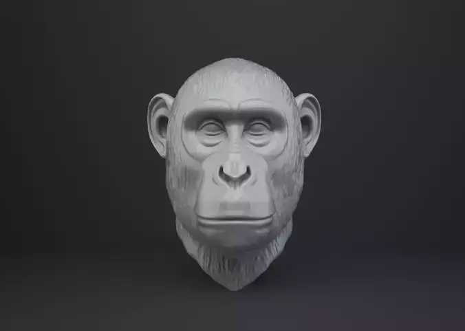 Monkey Bust - Animal Figurine