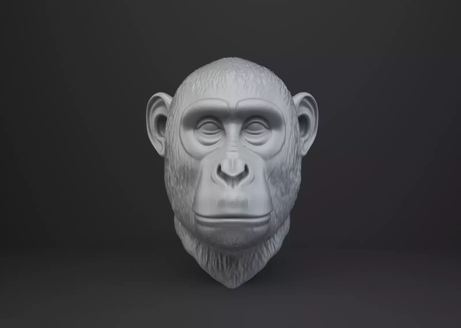 Monkey Bust - Animal Figurine 3D print model_0