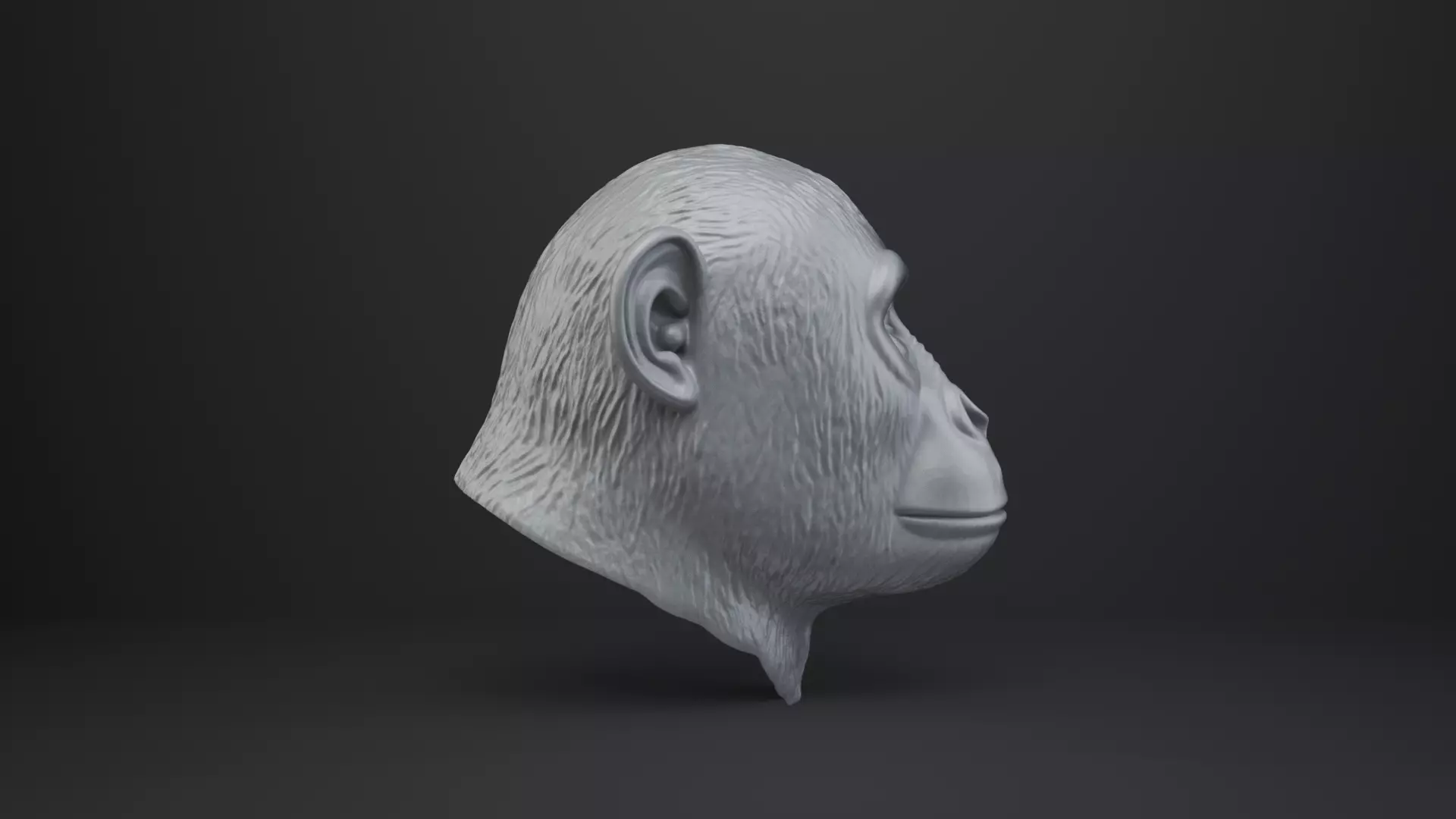 Monkey Bust - Animal Figurine 3D print model_7