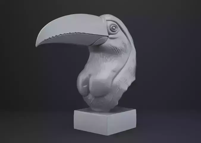 Toucan Bust - Animal Figurine