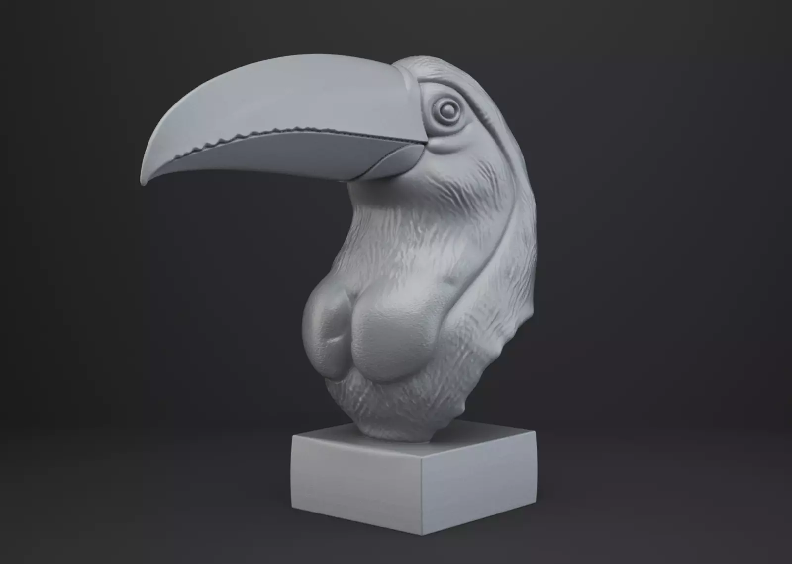 Toucan Bust - Animal Figurine 3D print model_0