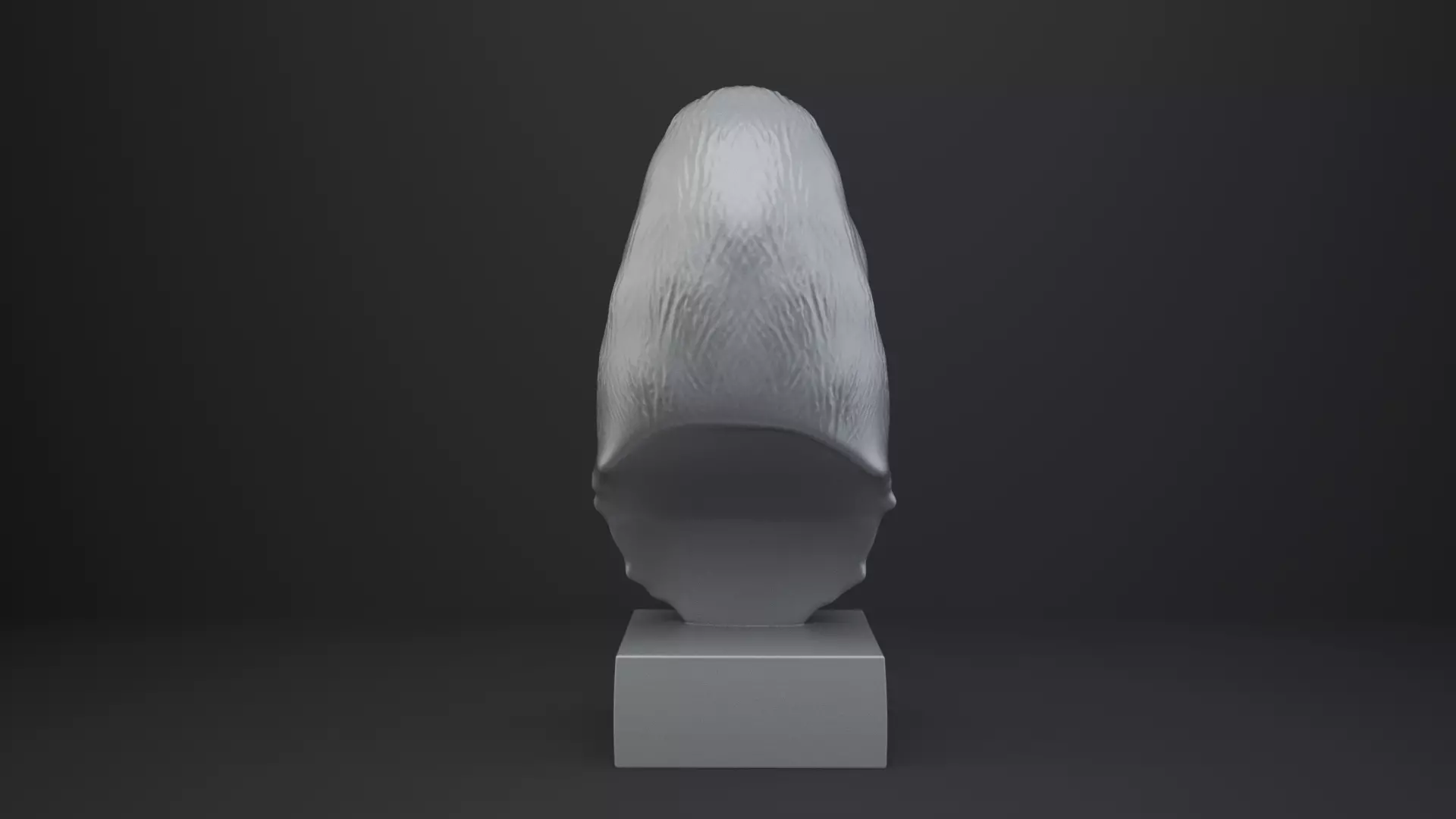 Toucan Bust - Animal Figurine 3D print model_5