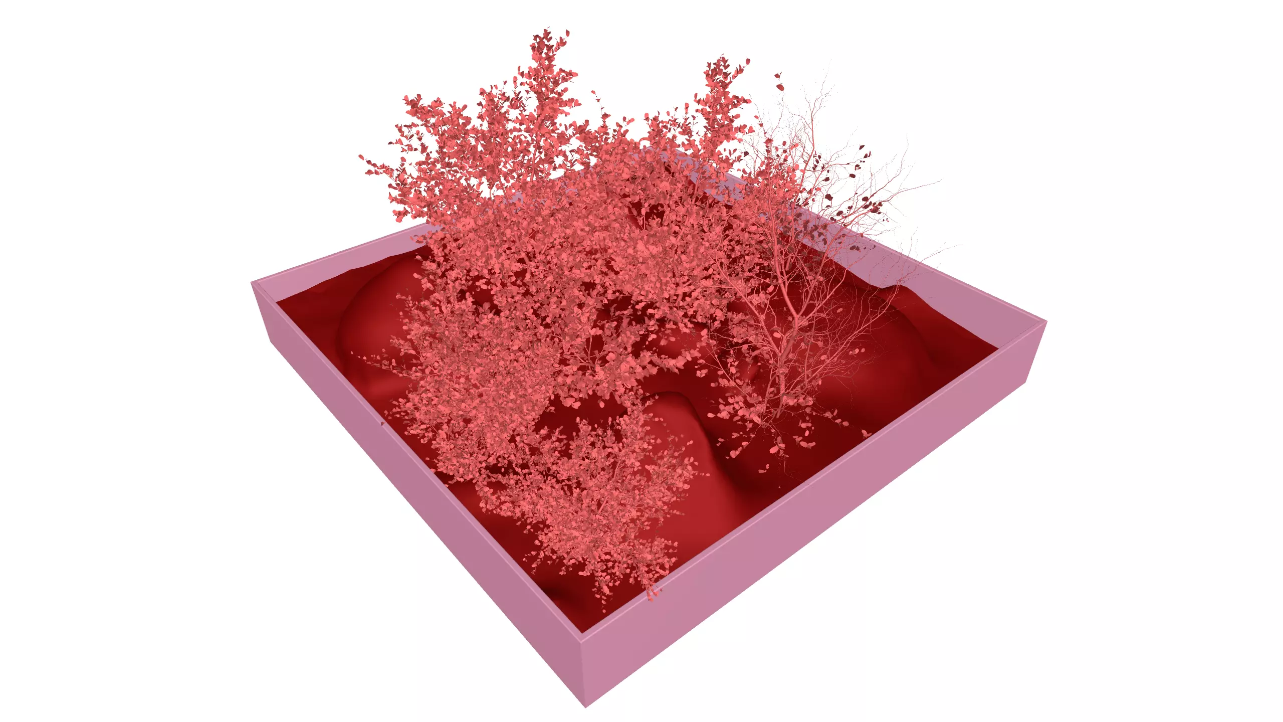 Dry Plants Rocky Base 3D Model Realistic Scenery Asset Low-poly 3D model_1