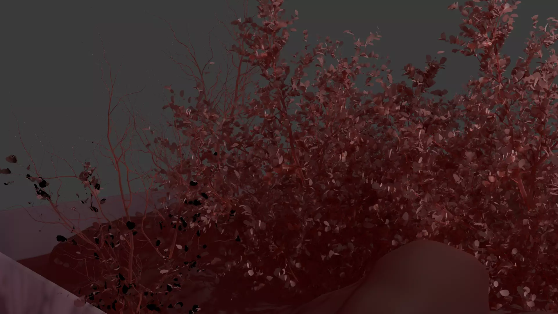 Dry Plants Rocky Base 3D Model Realistic Scenery Asset Low-poly 3D model_3