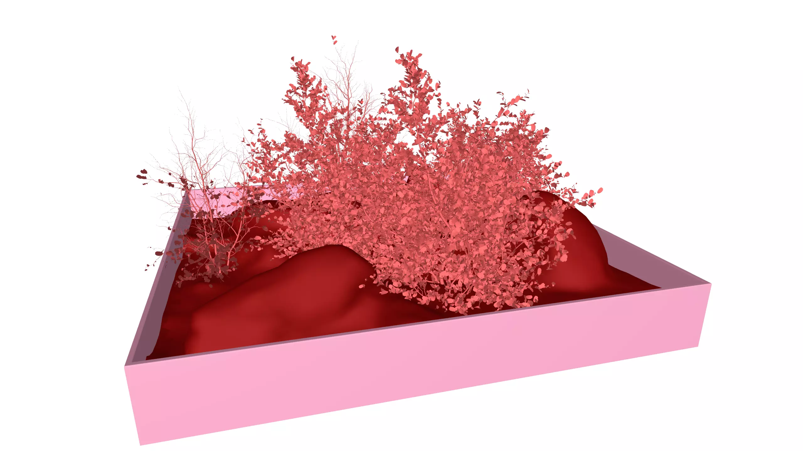 Dry Plants Rocky Base 3D Model Realistic Scenery Asset Low-poly 3D model_2