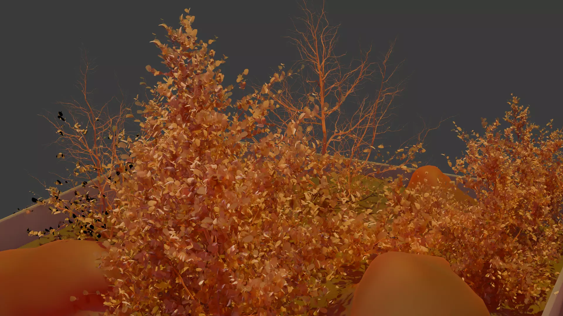 Dry Plants Rocky Base 3D Model Realistic Scenery Asset Low-poly 3D model_0