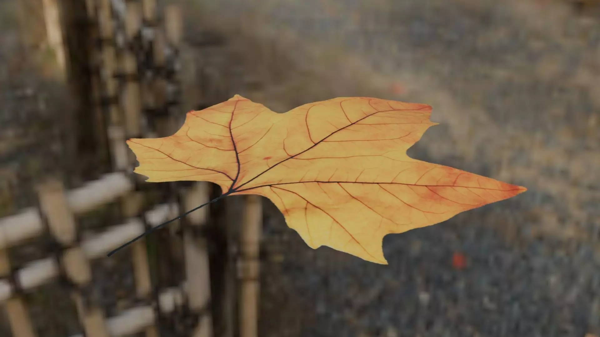 Leaf - 3D Model Low-poly 3D model_12