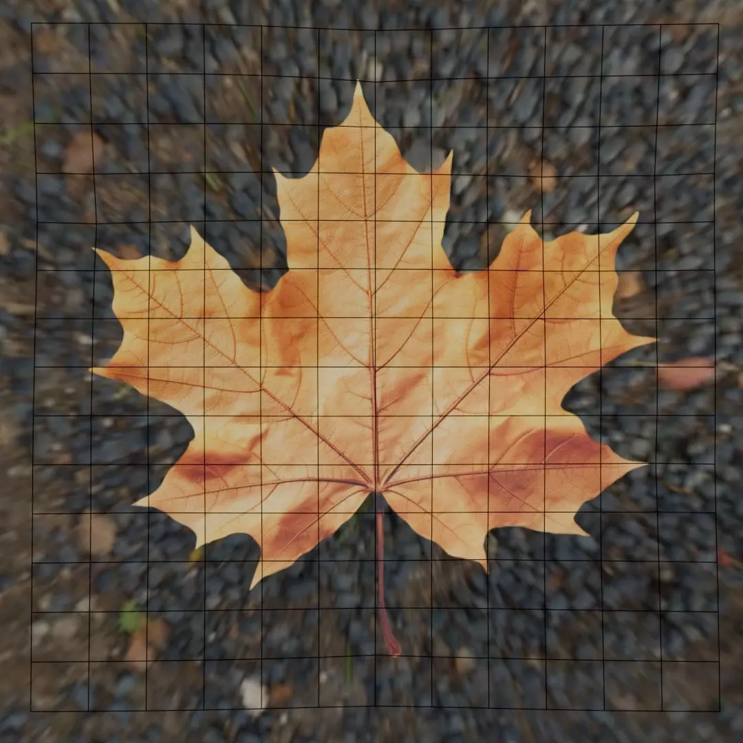 Leaf - 3D Model Low-poly 3D model_18