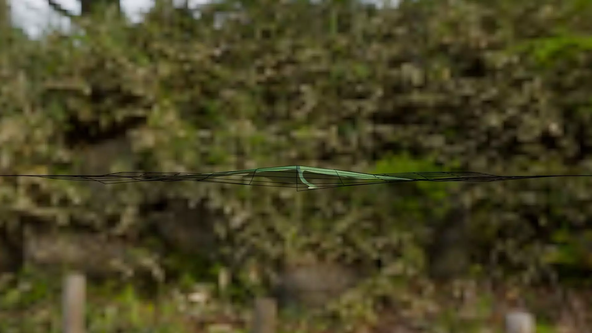 Leaf - 3D Model Low-poly 3D model_29