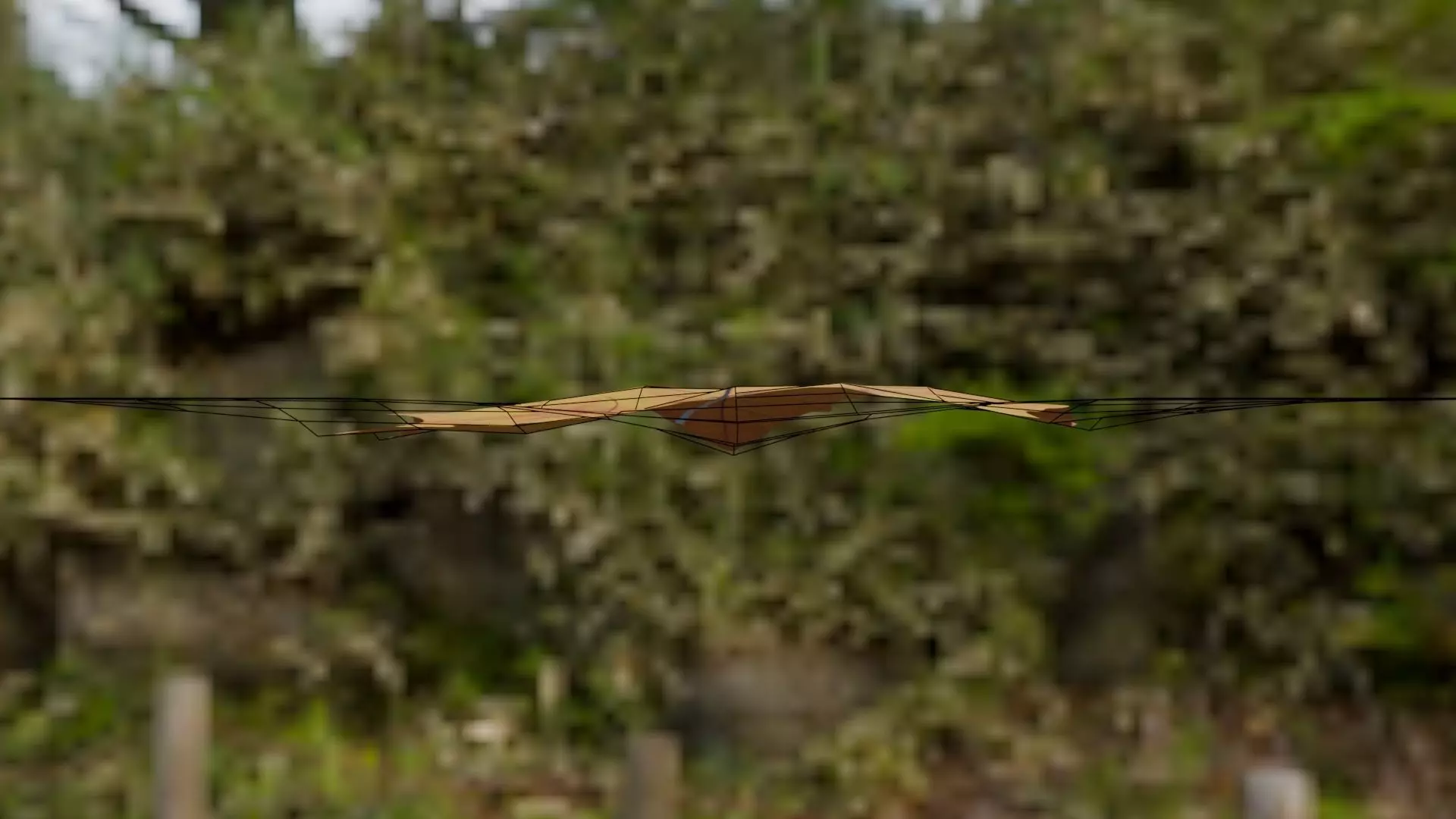 Leaf - 3D Model Low-poly 3D model_11