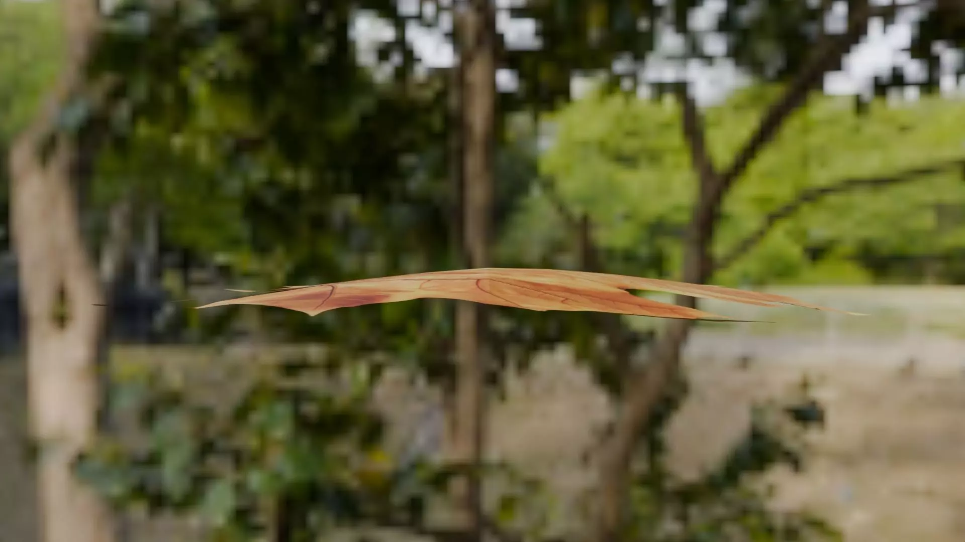 Leaf - 3D Model Low-poly 3D model_15