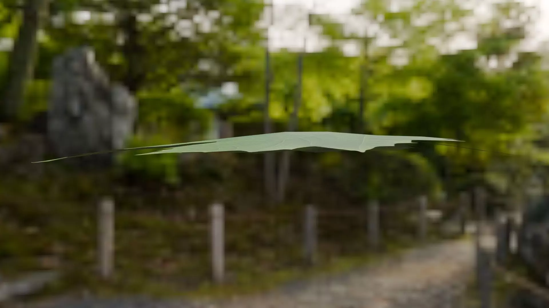 Leaf - 3D Model Low-poly 3D model_25