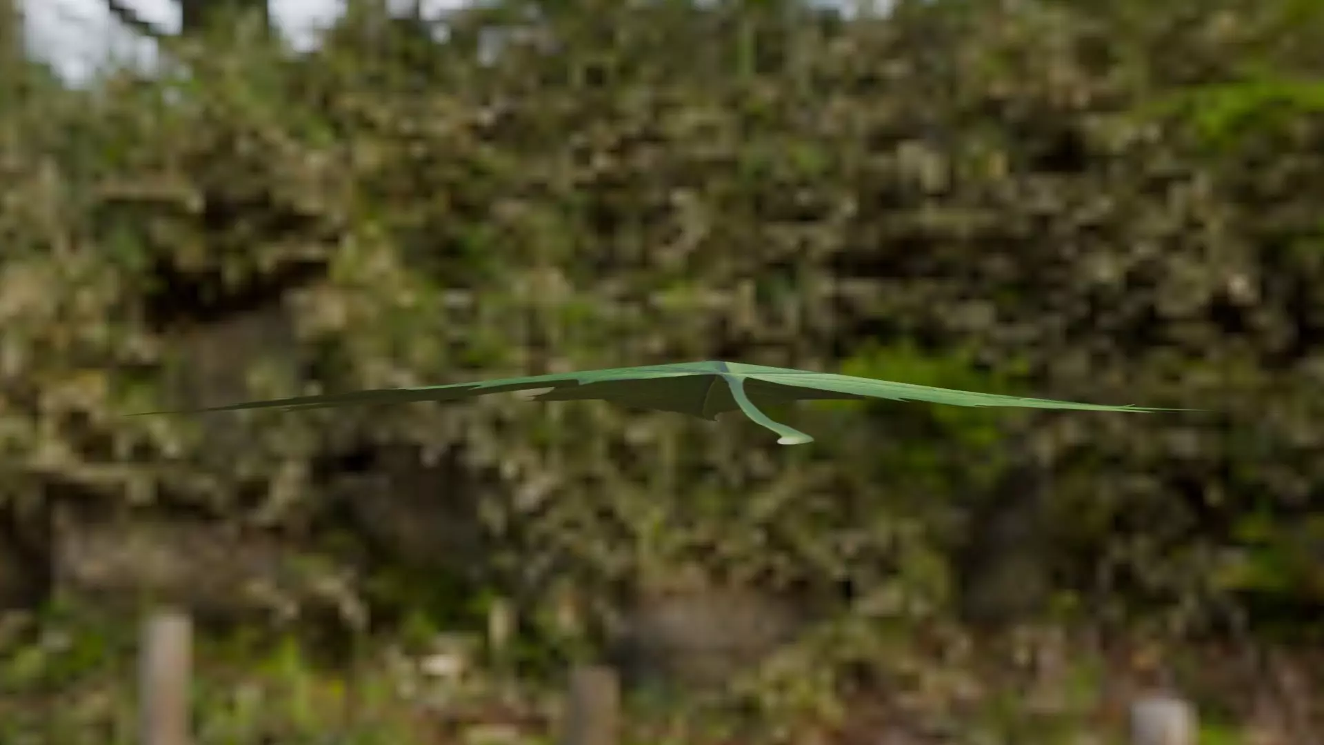 Leaf - 3D Model Low-poly 3D model_26