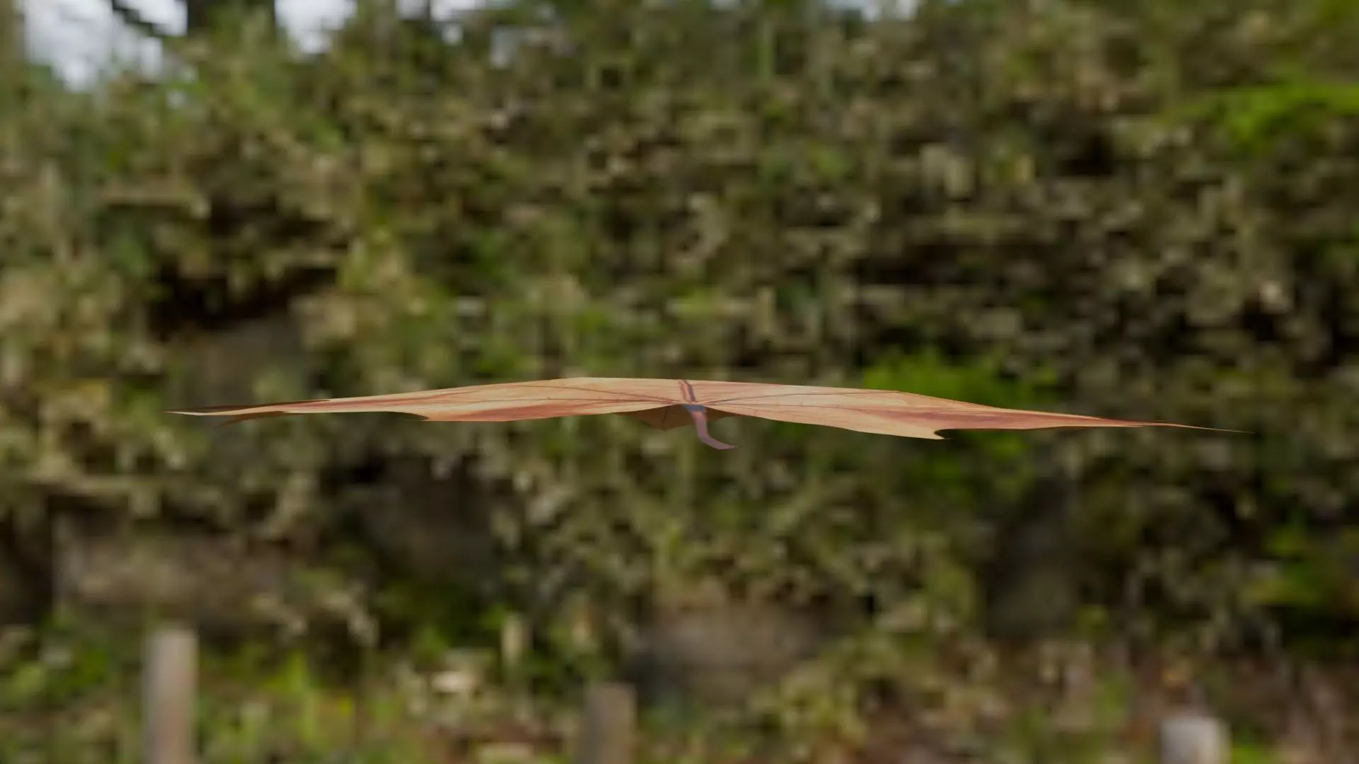 Leaf - 3D Model Low-poly 3D model_17