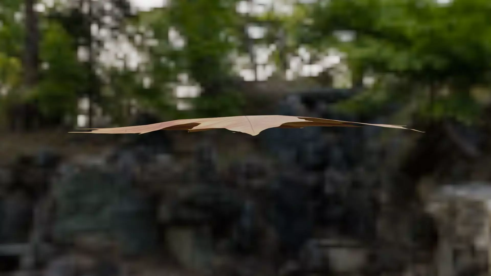 Leaf - 3D Model Low-poly 3D model_14