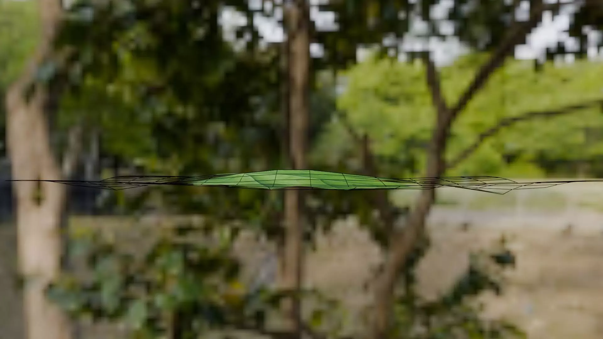 Leaf - 3D Model Low-poly 3D model_28