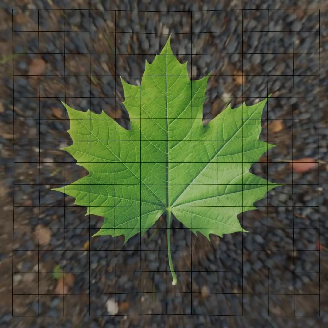 Leaf - 3D Model Low-poly 3D model_27